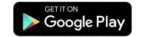 Google Play Store Logo